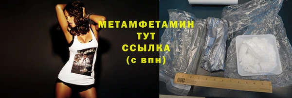 PSILOCYBIN Кстово